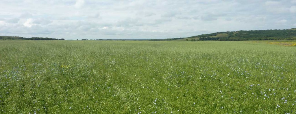 Howpark and Organic Science Cluster II Research